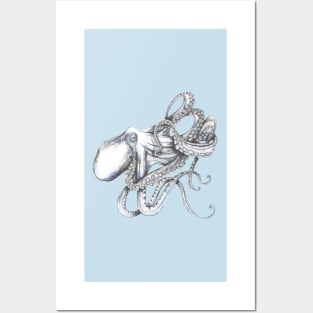 Octopus on blue Posters and Art